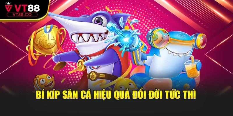 Bí kíp săn cá hiệu quả đổi đời tức thì