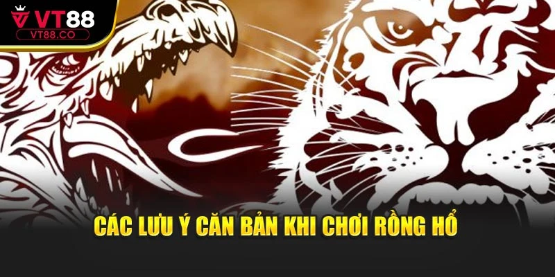 Các lưu ý căn bản khi chơi rồng hổ
