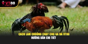 Cách Làm Chuồng Chạy Cho Gà Đá VT88 – Hướng Dẫn Chi Tiết