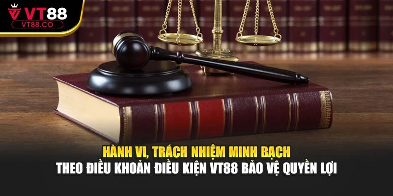 Hành vi, trách nhiệm minh bạch theo điều khoản điều kiện VT88 bảo vệ quyền lợi