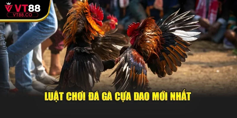 Luật chơi đá gà cựa dao mới nhất