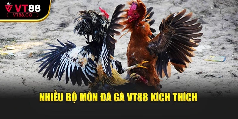 Nhiều bộ môn đá gà VT88 kích thích