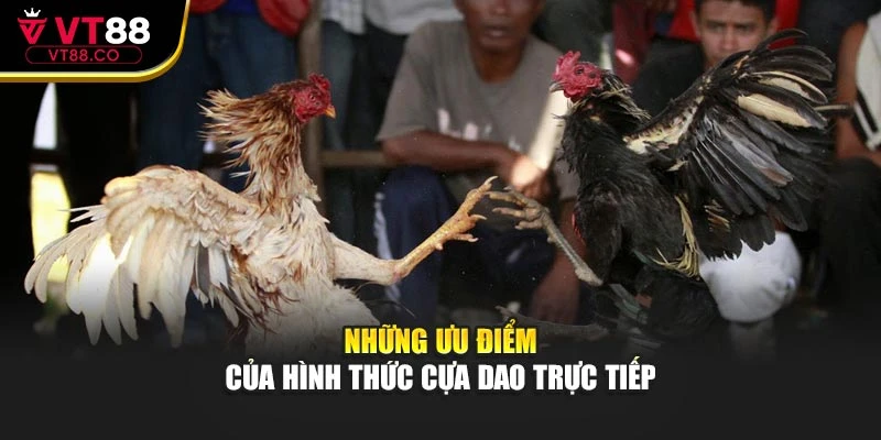 Những ưu điểm của hình thức cựa dao trực tiếp
