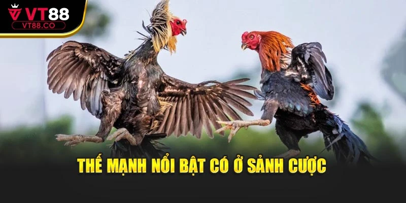 Thế mạnh nổi bật có tại sảnh cược